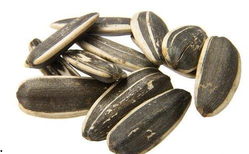 瓜子吃瓜配图,瓜子相伴，一起品味生活百态