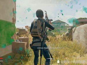 玩和平精英吃瓜