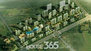 吃瓜大城县,一场全民参与的乡村盛宴