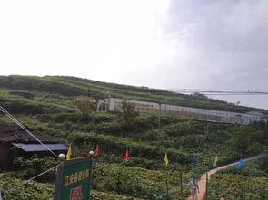 太白湖区吃瓜事件