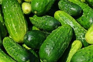 梦见吃瓜留种子,吃瓜留种子的神秘启示