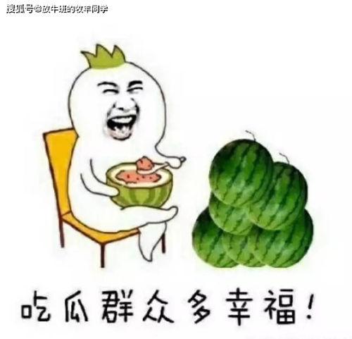 吃瓜打扑克,扑克牌上笑哈哈