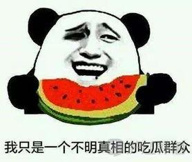 吃瓜韩语怎么解释,揭秘“吃瓜”在韩语中的趣味表达