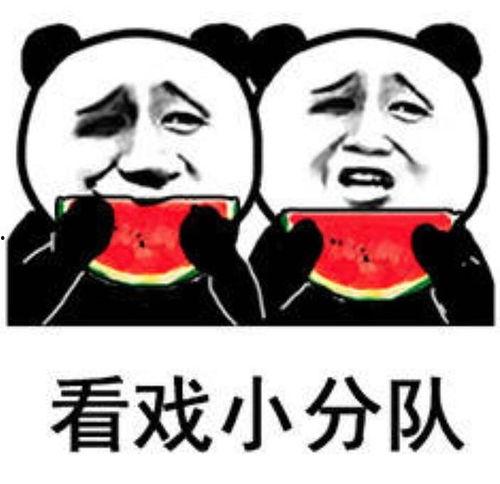 吃瓜群众很快乐,快乐源泉的欢乐盛宴