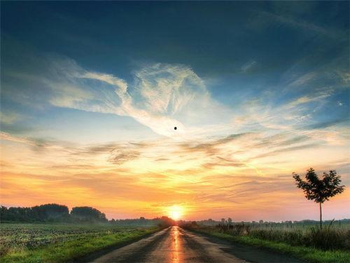 冬日暖阳吃瓜视频,一起享受吃瓜时光